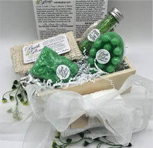 Load image into Gallery viewer, Sage Petite Box Set